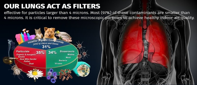 Lung Filters